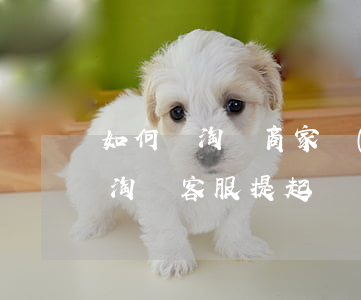如何對淘寶商家進(jìn)行起訴(怎么對淘寶客服提起訴訟)
