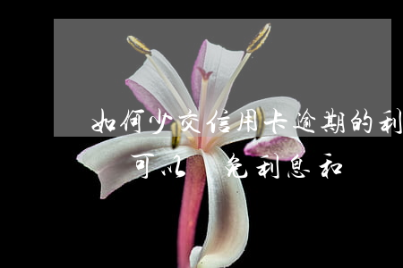 如何少交信用卡逾期的利息(欠銀行信用卡的錢可以減免利息和違約金嗎)