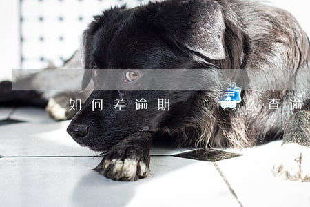 如何差逾期記錄(怎么查逾期記錄)