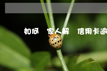 如何幫家人解決信用卡逾期問題？全攻略！