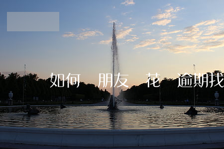 如何幫朋友還花唄逾期(找朋友還花唄怎么還)