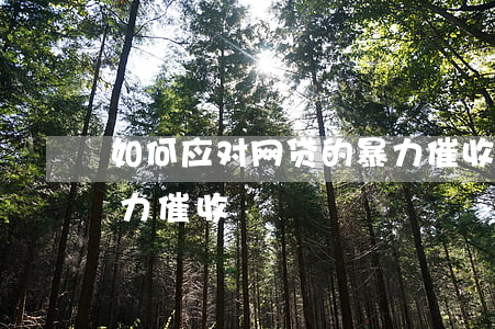 如何应对网贷的暴力催收(如何应对网贷的暴力催收)