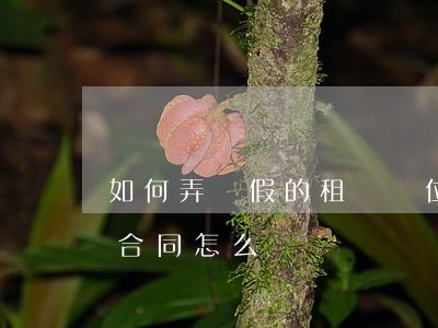 如何弄個假的租賃車位合同，買的車位是租賃合同怎么辦