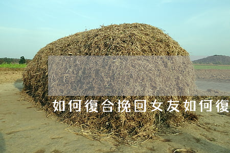 如何復合挽回女友(如何復合挽回女友怎么說)