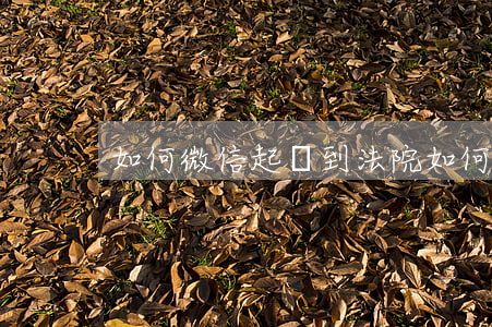 如何微信起訴到法院 如何微信起訴到法院呢
