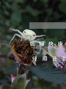 如何快速协商信用卡-如何快速协商信用卡分期还款
