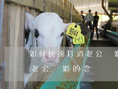 如何快速打消老公離婚的念頭(如何快速打消老公離婚的念頭)