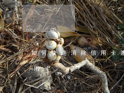如何快速消除信用卡逾期的方法(怎樣消除信用卡)