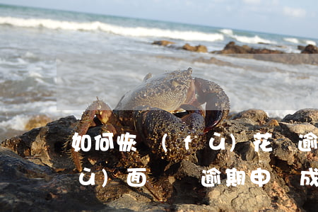 如何恢復(fù)花唄逾期記錄(花唄負(fù)面記錄逾期申訴成功恢復(fù)花唄額度)