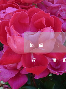如何應(yīng)付信用卡逾期律師涵(銀行對信用卡逾期怎么處理)