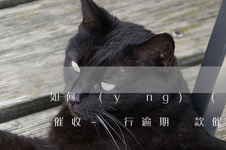 如何應(yīng)對(duì)小貸逾期催收-銀行逾期貸款催收經(jīng)驗(yàn)分享