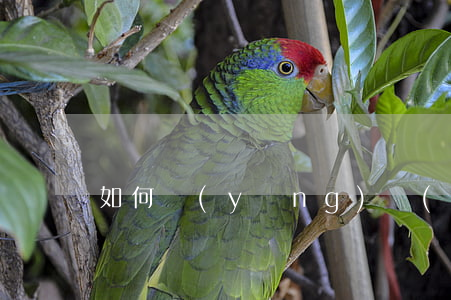 如何應(yīng)對(duì)逾期催收員