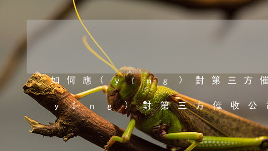 如何應(yīng)對第三方催收(如何應(yīng)對第三方催收公司的電話)
