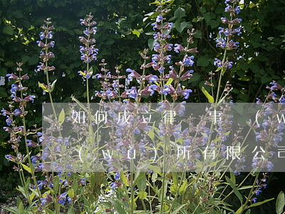 如何成立律師事務(wù)所條件(律師事務(wù)所有限公司成立的條件)
