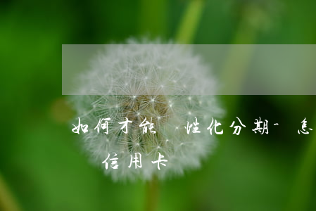 如何才能個性化分期-怎么才能個性化分期還信用卡