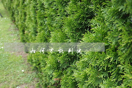 如何才能判定為輕傷(輕傷怎么認定)