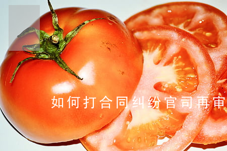 如何打合同纠纷官司再审