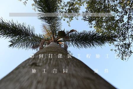 如何打建筑工程施工合同糾紛官司(建設工程施工合同糾紛案件)