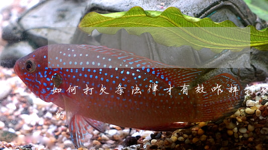 如何打欠条法律才有效(咋样打欠条才是合法的)