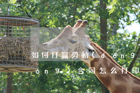 如何打贏勞動(dòng)合同法(勞動(dòng)合同怎么打印)