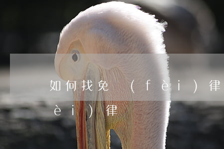 如何找免費(fèi)律師(如何找免費(fèi)律師)