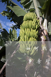 如何找到好的律师事务所,怎样找到好的律师事务所 如何找到好的律师事务所,怎样找到好的律师事务所