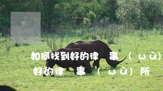 如何找到好的律師事務(wù)所，怎樣找到好的律師事務(wù)所