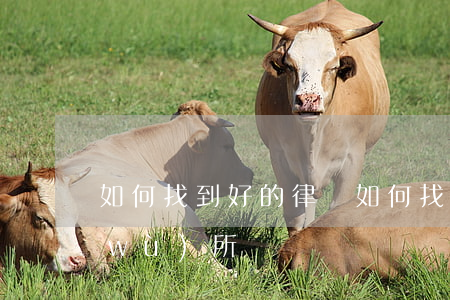 如何找到好的律師，如何找到好的律師事務(wù)所
