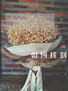 如何找到法律援助(怎么申請法律援助在哪里)