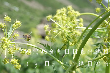 如何找合同糾紛案件律師費(fèi)用(請(qǐng)律師打合同糾紛官司要多少錢)