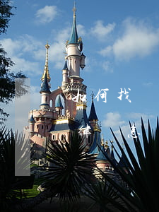 如何找專(zhuān)業(yè)的離婚律師(怎樣找到專(zhuān)業(yè)離婚律師)