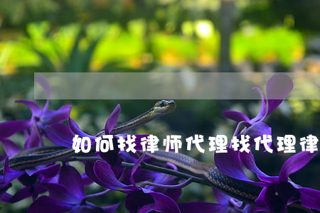 如何找律师代理(找代理律师的流程)
