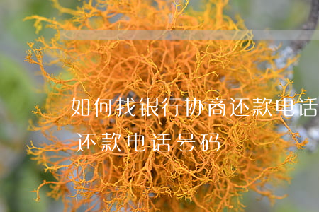 如何找银行协商还款电话-如何找银行协商还款电话号码
