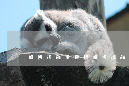 如何找離婚律師(如何找離婚律師起訴離婚)