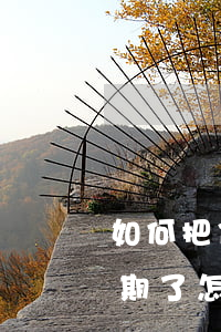 如何把信用報(bào)告逾期P掉(信用逾期了怎么消除)