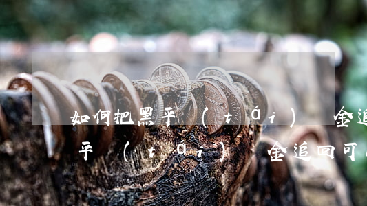 如何把黑平臺(tái)資金追回，如何把黑平臺(tái)資金追回可以直接說(shuō)報(bào)警嗎