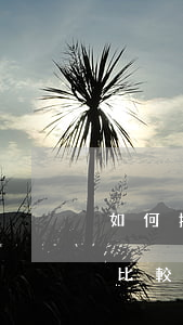 如何投訴信用卡和網(wǎng)貸逾期-比較有用的投訴信用卡平臺