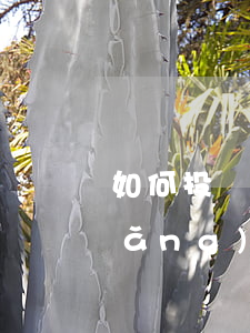 如何投訴網(wǎng)貸逾期費用(網(wǎng)貸逾期的費用這么高怎么辦)