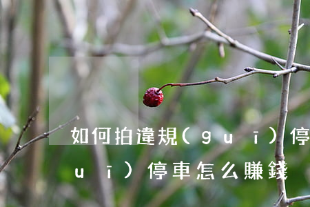 如何拍違規(guī)停車掙錢，拍違規(guī)停車怎么賺錢