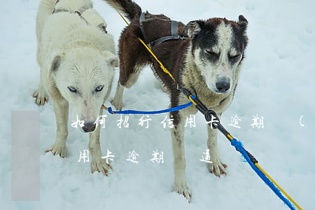 如何招行信用卡逾期協(xié)商(招行信用卡逾期溝通)
