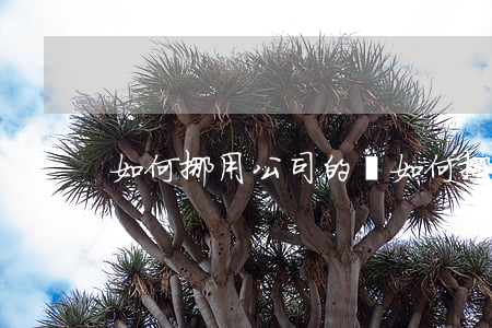 如何挪用公司的錢(如何挪用公司的錢)