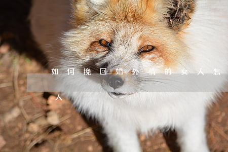如何挽回婚外情的女人,怎樣挽回婚外情的女人 如何挽回婚外情的女人,怎樣挽回婚外情的女人