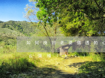 如何挽回老婆傷透的心(把老婆的心傷透了,怎么彌補(bǔ))