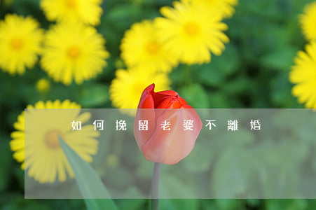 如何挽留老婆不離婚