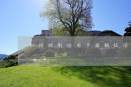 如何控制信用卡逾期(征信嚴重逾期怎么辦信用卡)