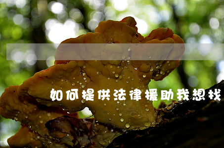 如何提供法律援助(我想找法律援助)