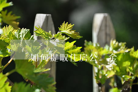 如何提取住房公積金