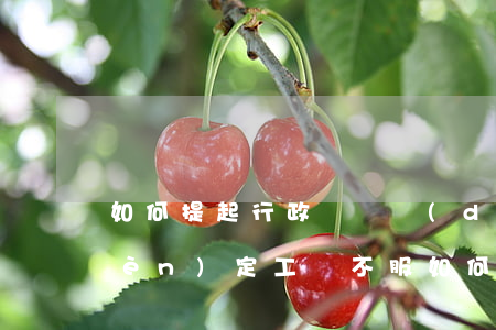 如何提起行政訴訟，對(duì)不予認(rèn)定工傷不服如何提起行政訴訟