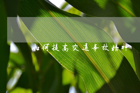 如何提高交通事故精神撫慰金呢