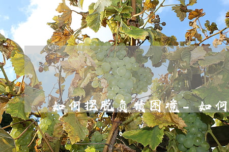 如何摆脱负债困境-如何摆脱负债困境问题